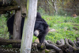 2024_10_22_Zoo_Rheine_055