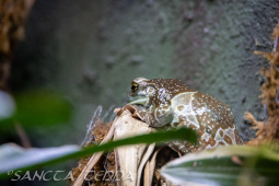 2024_10_22_Zoo_Rheine_059