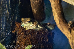 2024_10_22_Zoo_Rheine_060