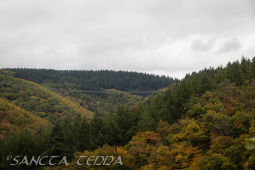 2025_10_12_Mosel_010