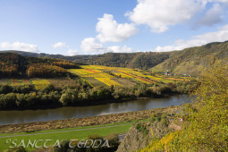 2025_10_12_Mosel_013