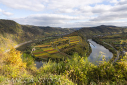 2025_10_12_Mosel_023