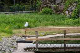 2026_06_13_Goeteborg_014