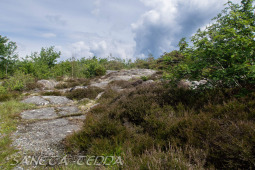 2026_06_13_Goeteborg_039
