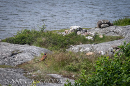 2026_06_13_Goeteborg_041