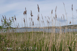 2026_06_13_Goeteborg_044