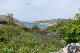 2026_06_13_Goeteborg_045