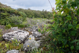 2026_06_13_Goeteborg_050