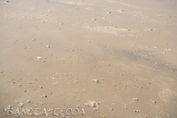 2026_07_20_Daenemark_008